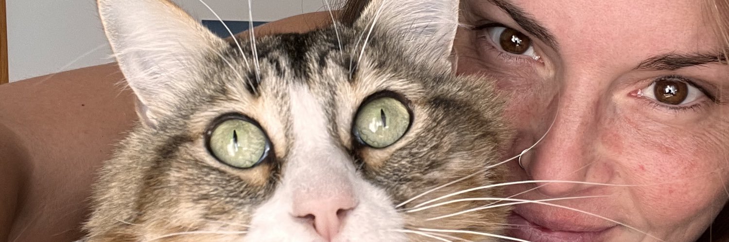 LauraChifer's profile banner image