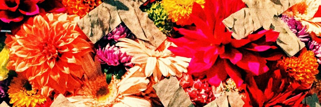 mst884's profile banner image