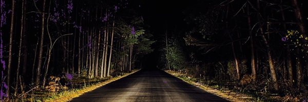 _lilvonno Profile Banner