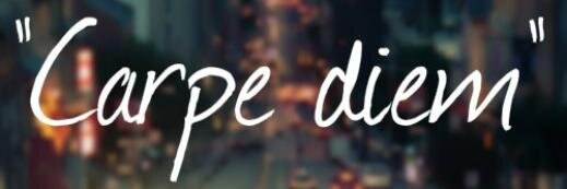 ROBERTO BOLIO banner