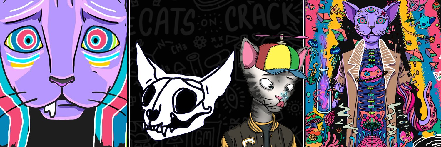 mrscrypto.sol {313} aka: Biddy Smols banner