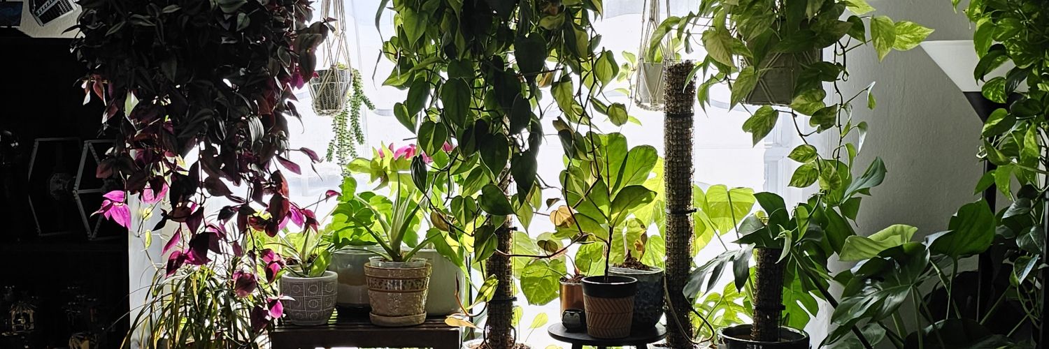 Pup Snow❄️ banner