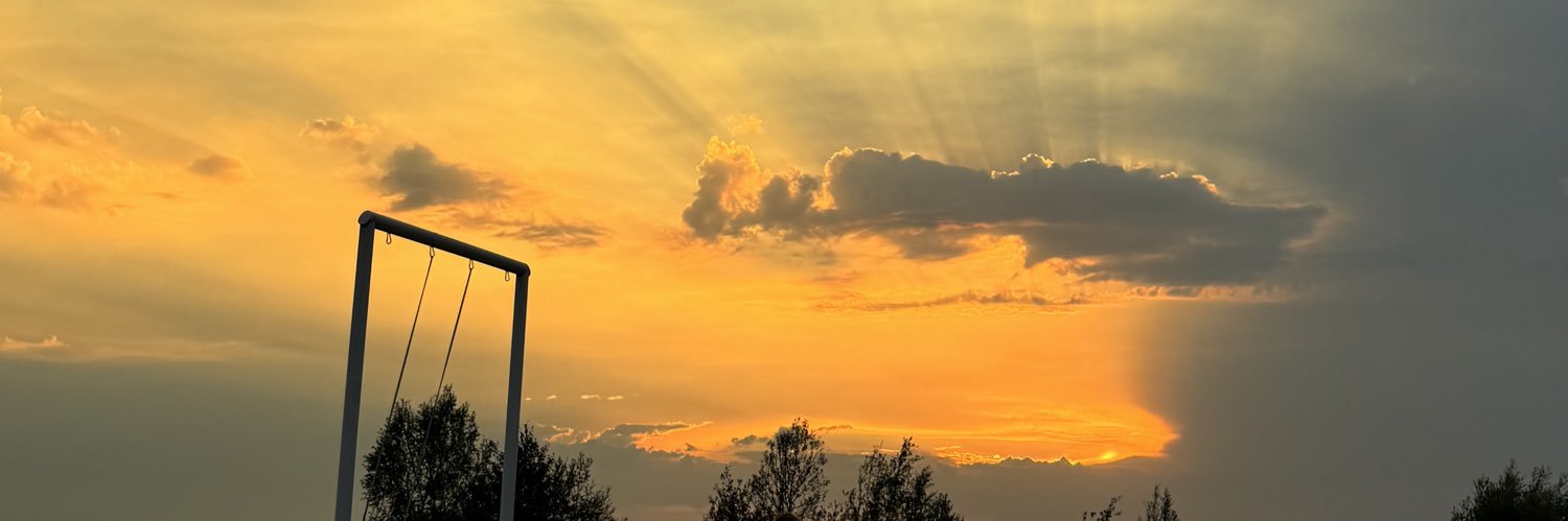 Іван Сапа banner