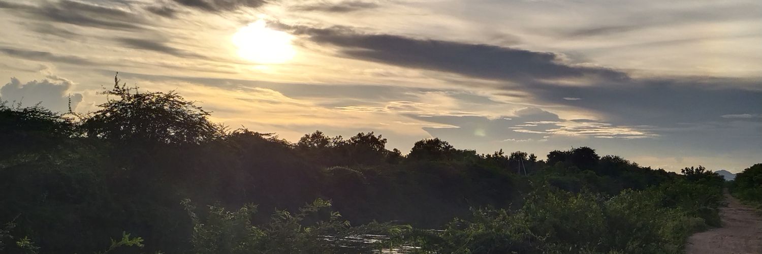 dariya745's profile banner image