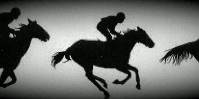 scumbagant's profile banner image