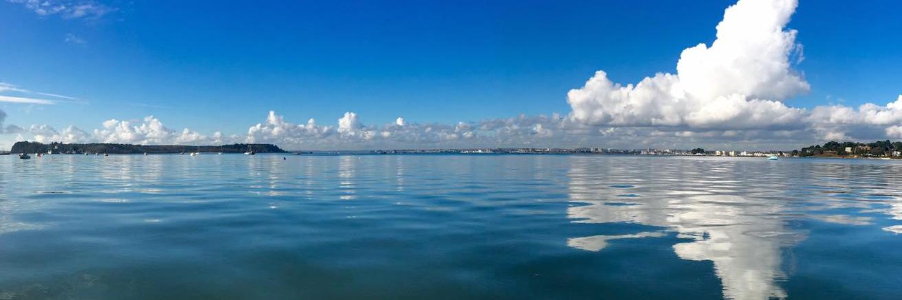 S Coast Steve banner