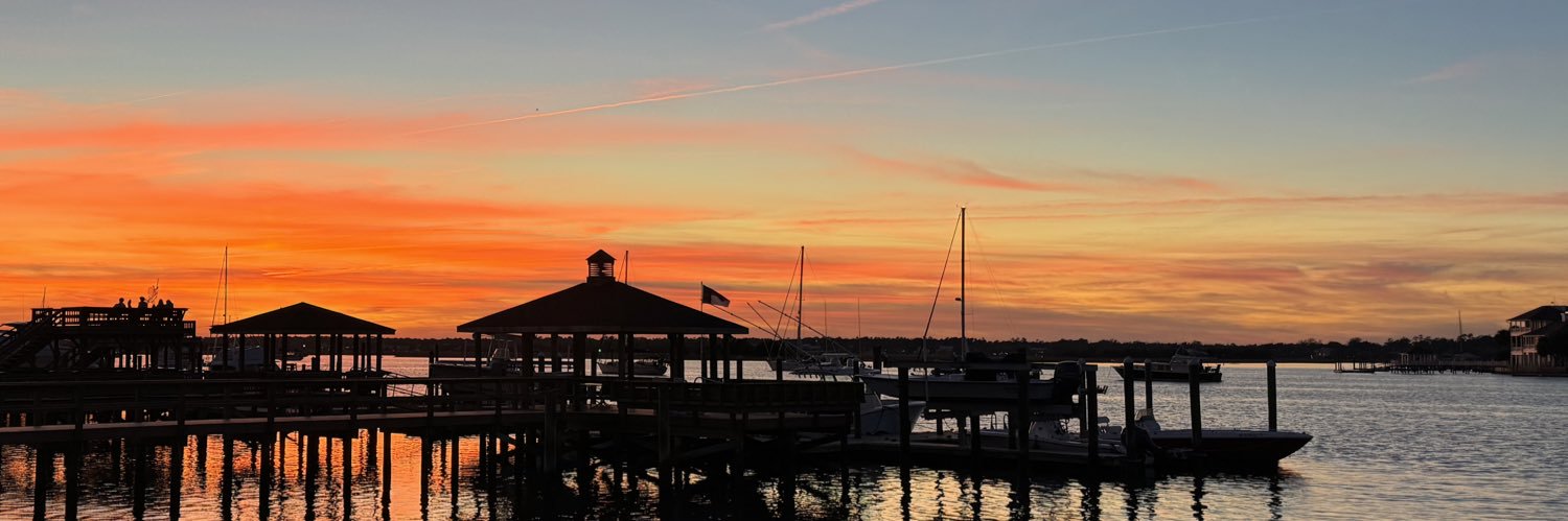 Julia Leibowitz banner