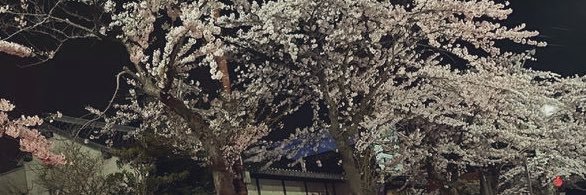 ___05a__45's profile banner image