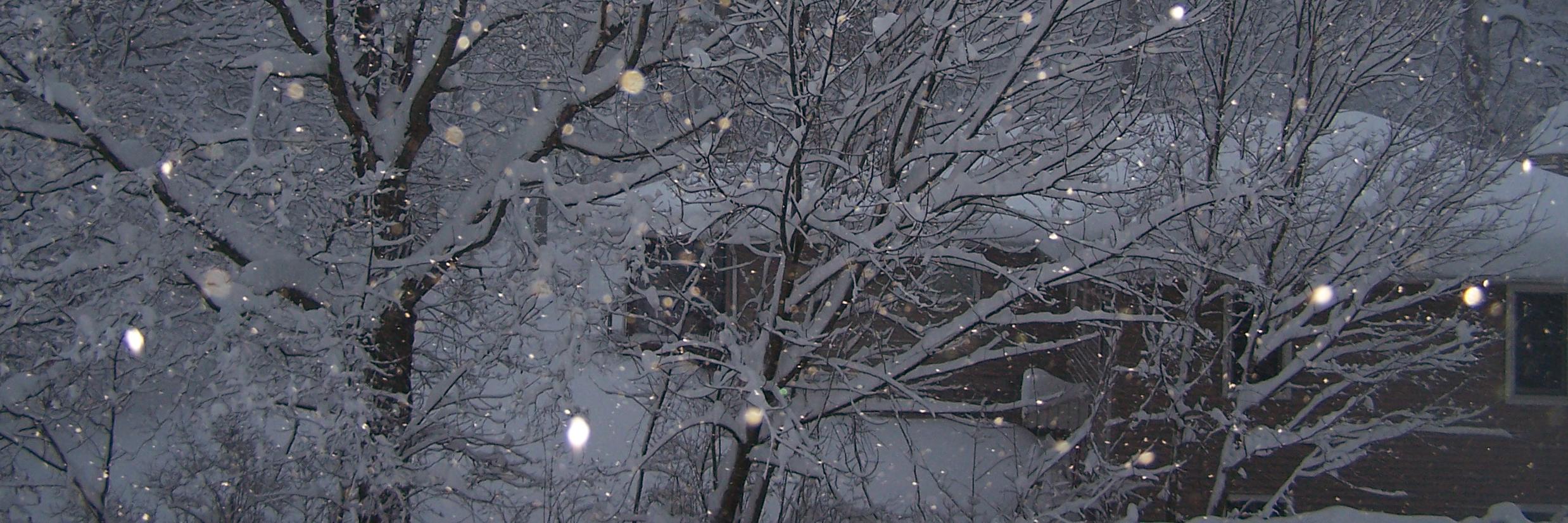 Heather Tiffany Zack banner