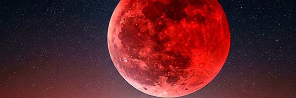 Efelii1 Profile Banner