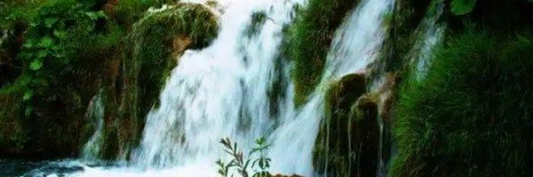 dinesh_chauhan2 Profile Banner