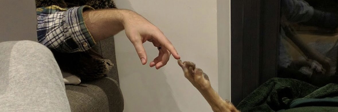 yasminueda's profile banner image