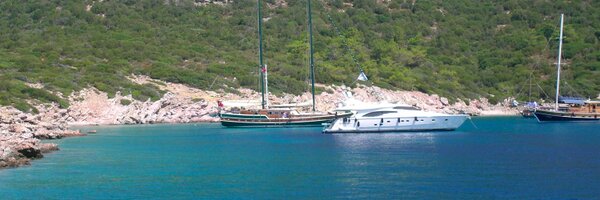 pinar_gurel Profile Banner