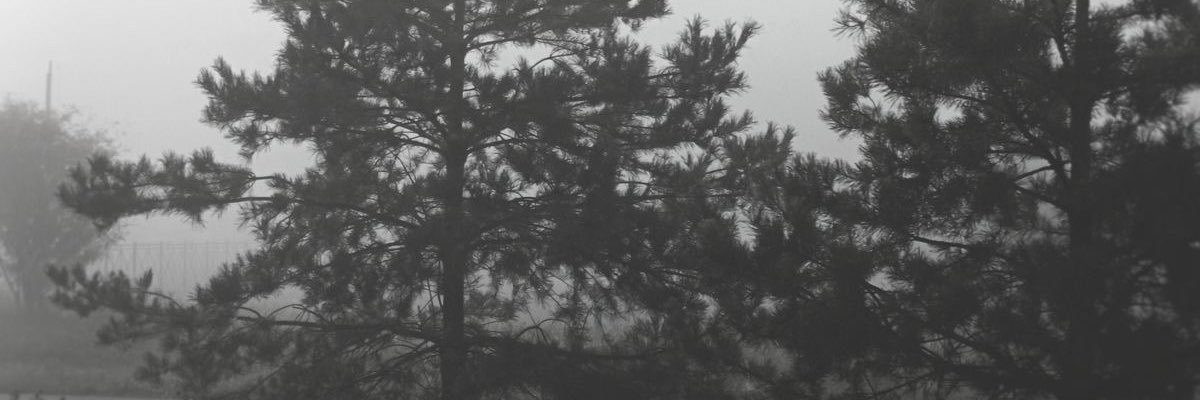 ava .ೃ࿔* banner
