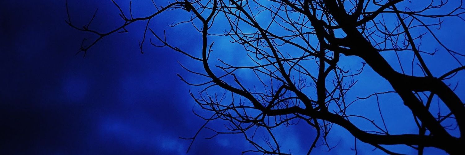 lalalala banner