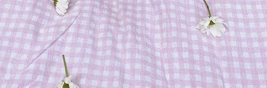 minnie v.2 banner