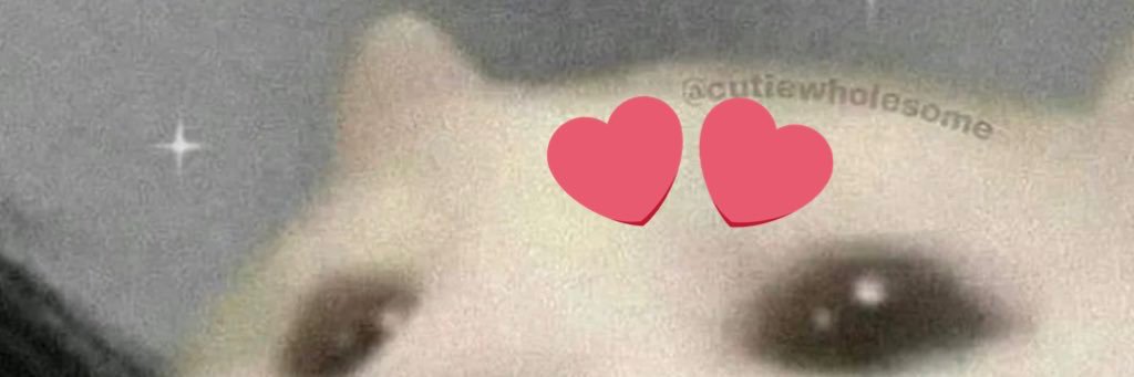 sydneyonepilots's profile banner image
