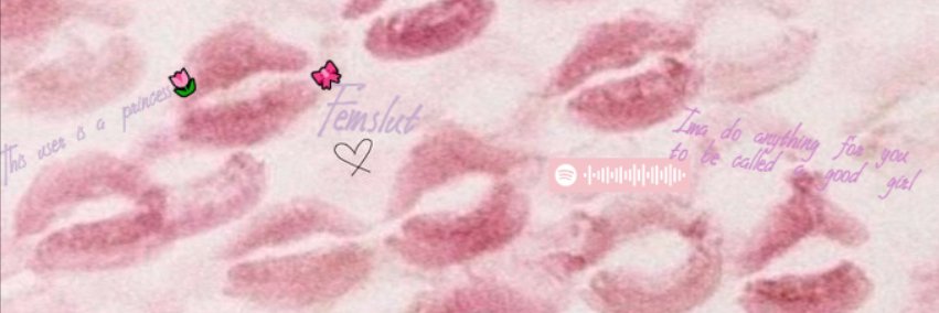 WalCapade's profile banner image