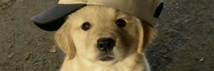 Oreva__x's profile banner image