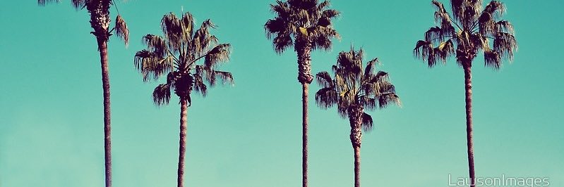 alinastf's profile banner image