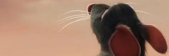Papetold's profile banner image