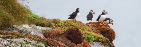 TuathaIreland Profile Banner