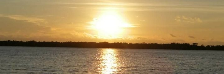 *-*marcia vera*-* banner