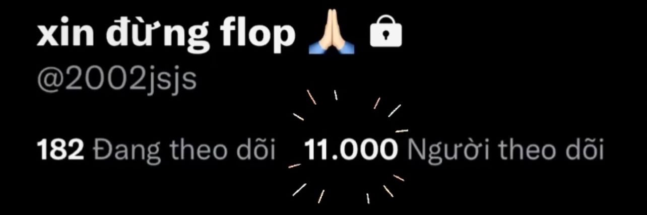 2002twink 🇻🇳 banner