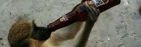 Houston McCouch banner