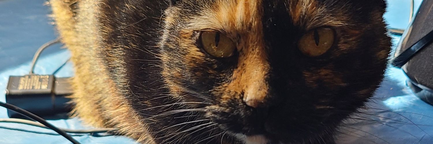 Michelle Thompson banner