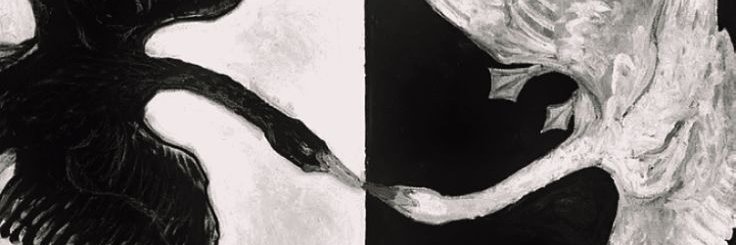 RocioG_06's profile banner image