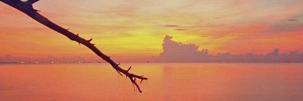 All4Sovereignty Profile Banner