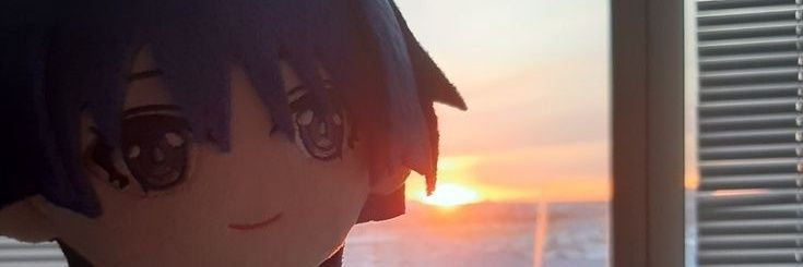 shier. banner