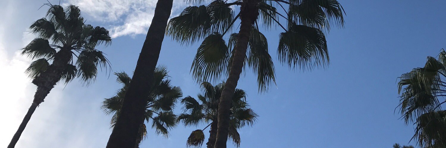 LES735's profile banner image