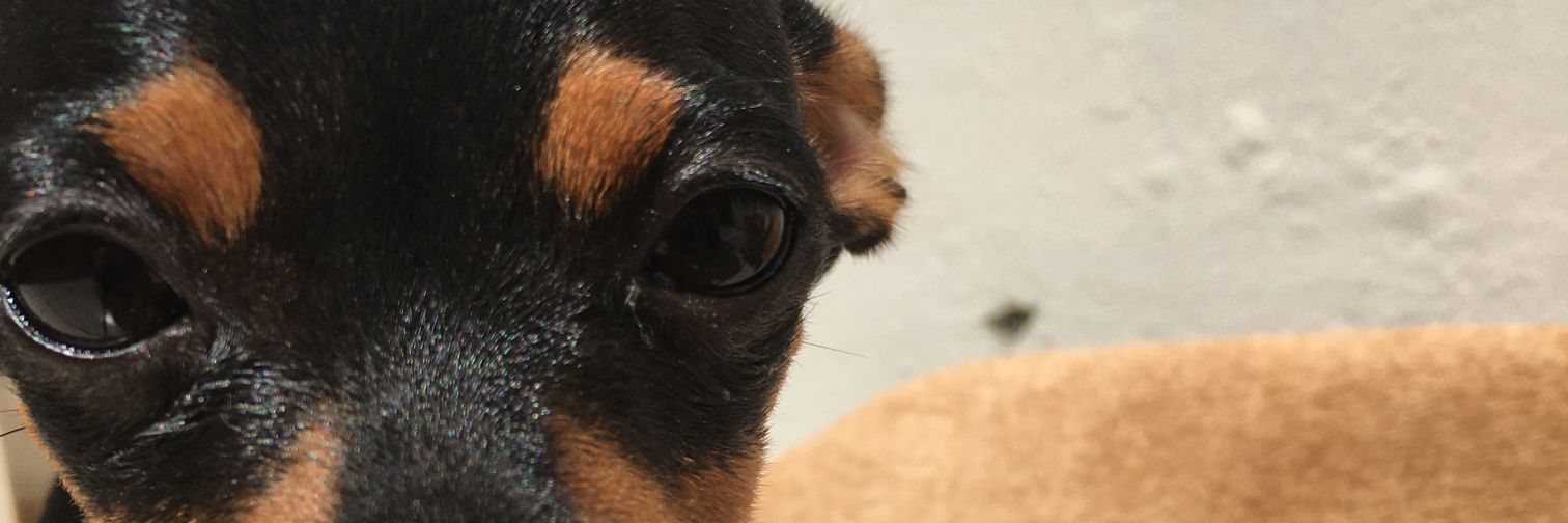 ma_cro7's profile banner image
