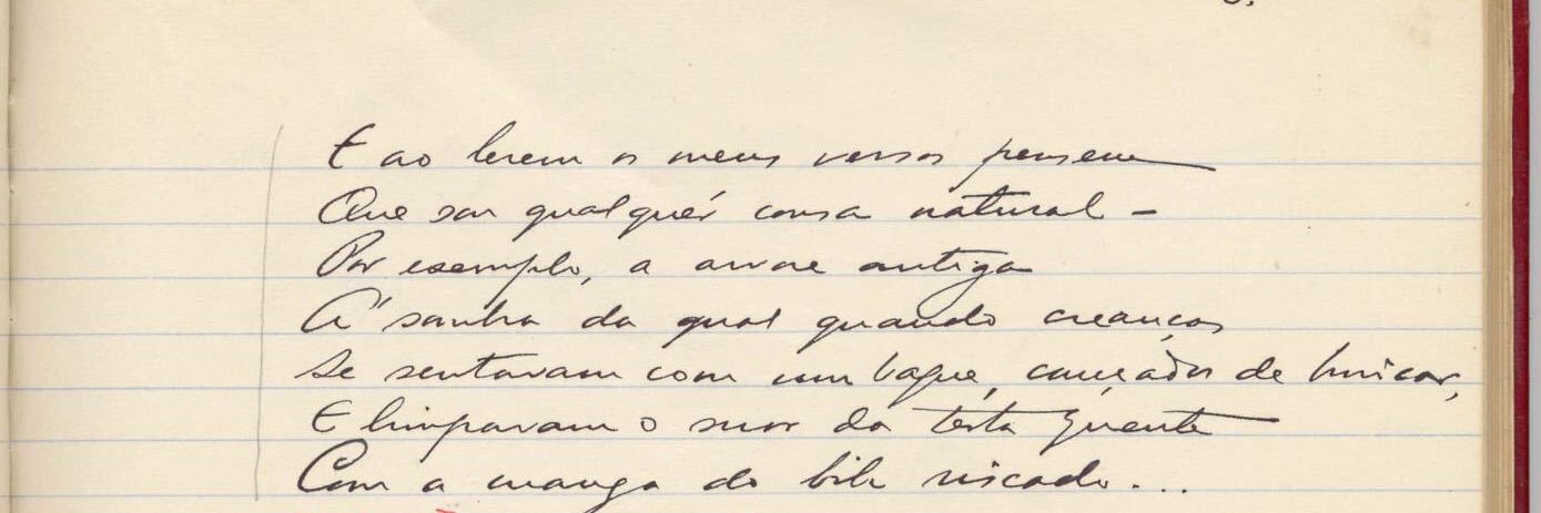 Fernando Pessoa banner