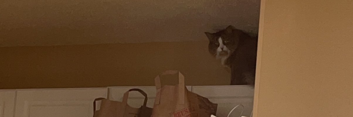 Thousandemons banner