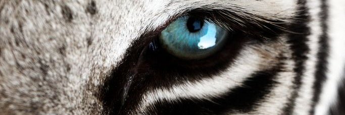 MarieIvts612's profile banner image