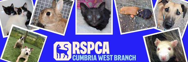 RSPCACW Profile Banner