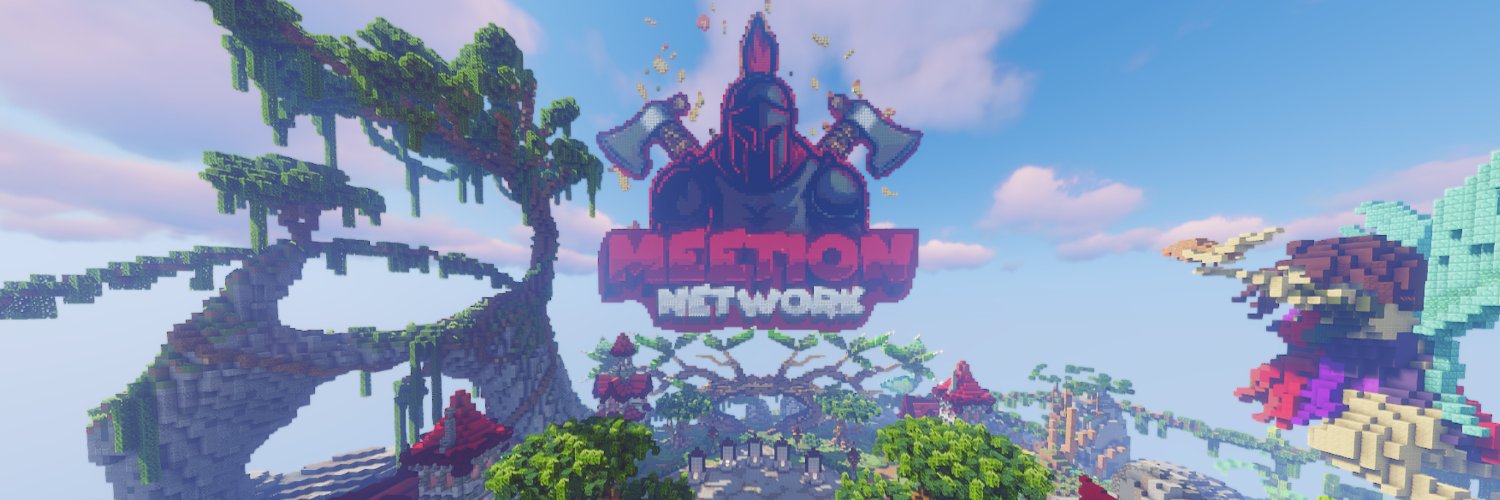 MeeTion Network banner