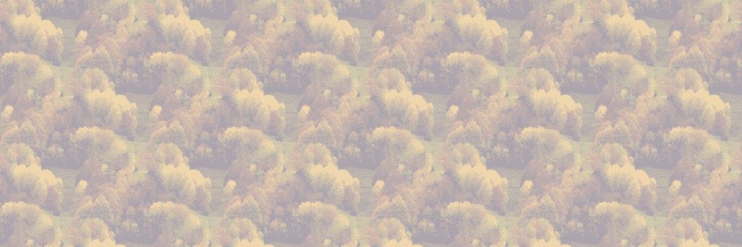 nameisntapplica's profile banner image