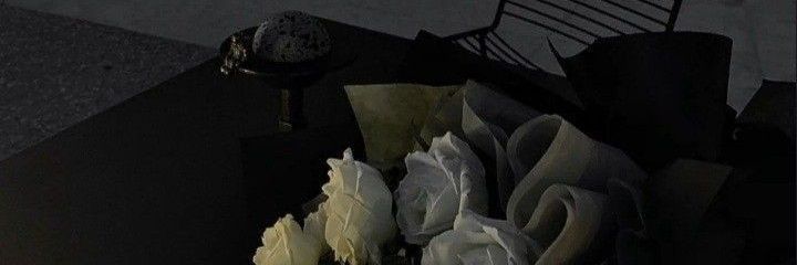V4MPANTHEM's profile banner image
