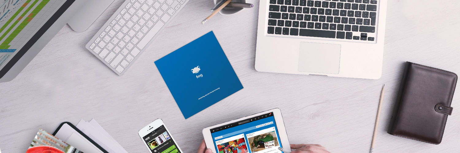 Frog Education banner