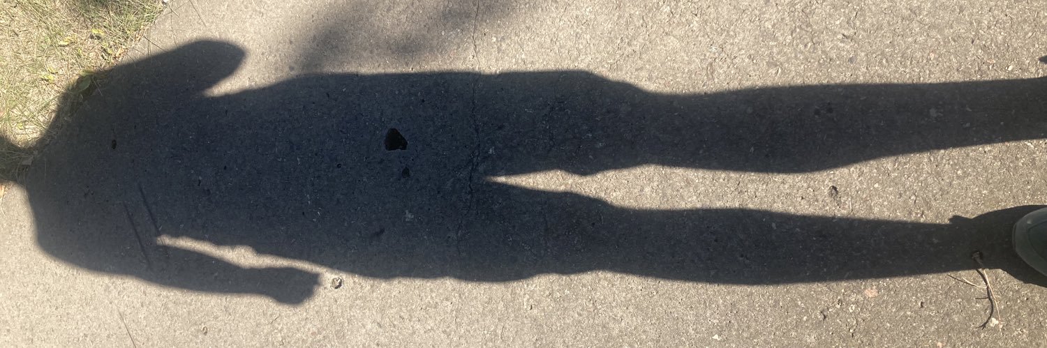 bilbobigdildo's profile banner image