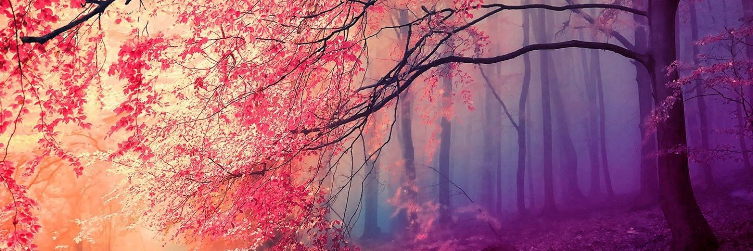 MissNFT0's profile banner image