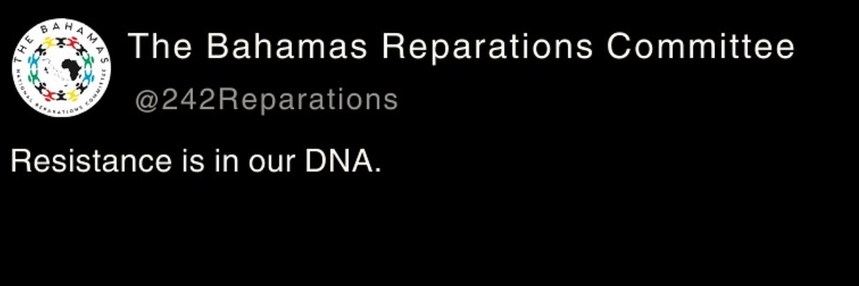 242Reparations's profile banner image