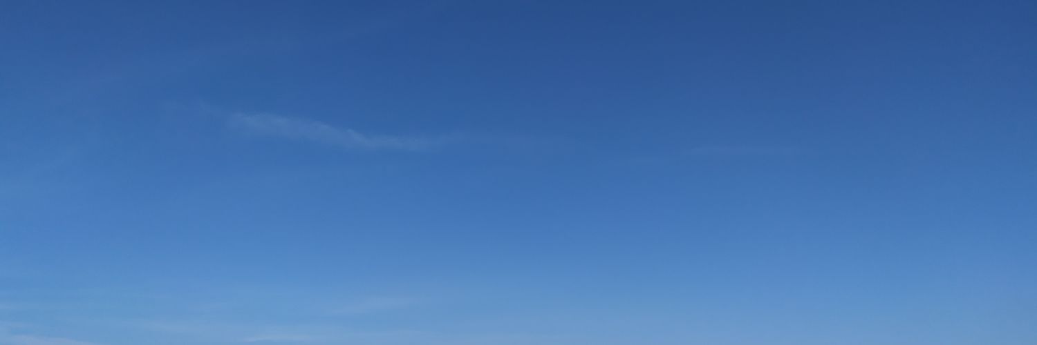 rilly/yogi banner