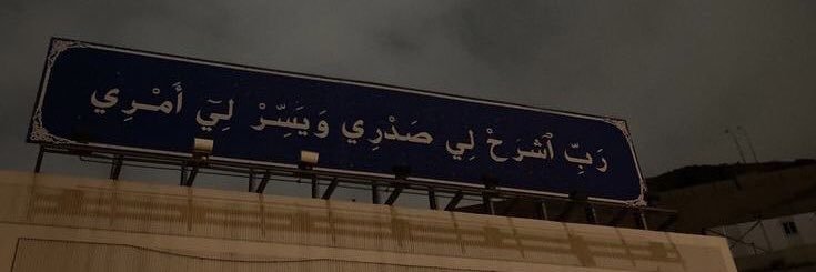 W banner