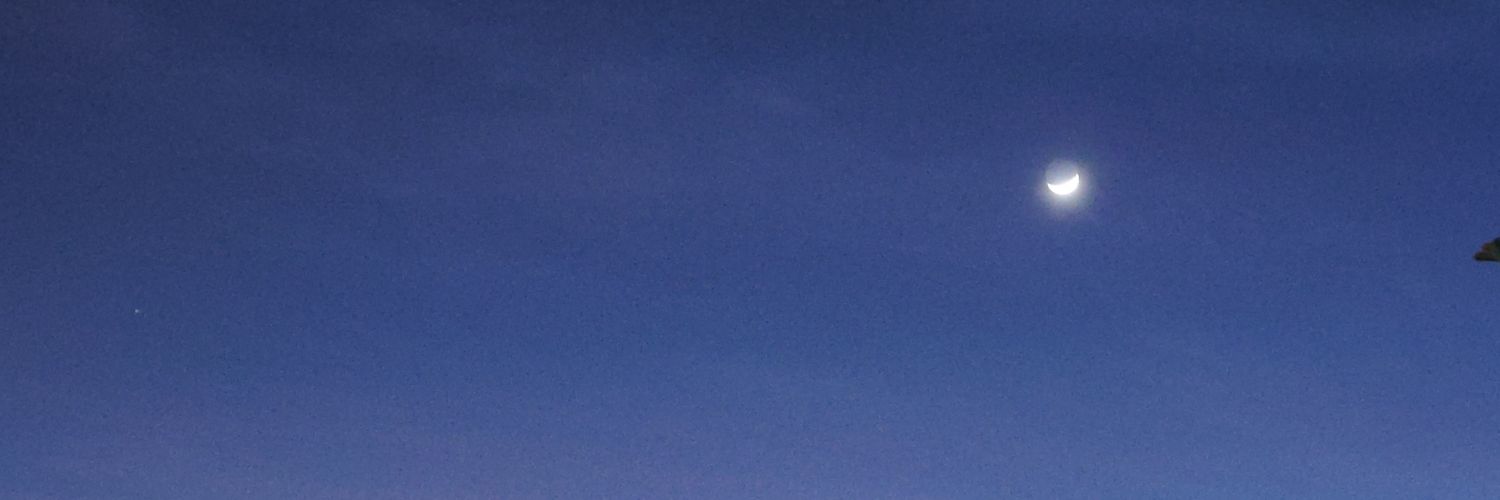 negrovsky's profile banner image