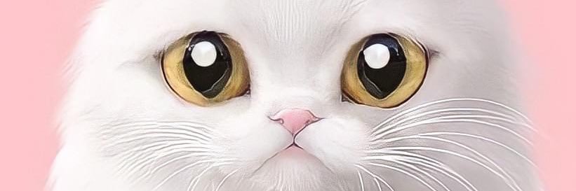 cherbell_c's profile banner image